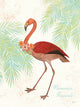 "Flamingo Tropicale Ii" Art Block Framed Canvas, 11"x14"