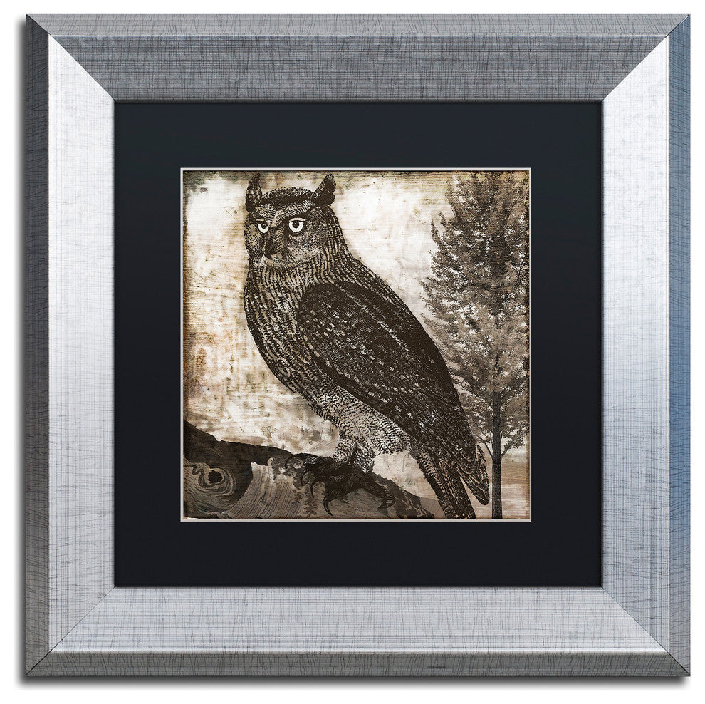 Color Bakery 'Owl 2' Art, Silver Frame, Black Matte, 11"x11"