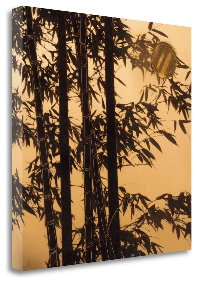 "Shadow Play II" By Madeleine Endo, Giclee Print on Gallery Wrap Canvas