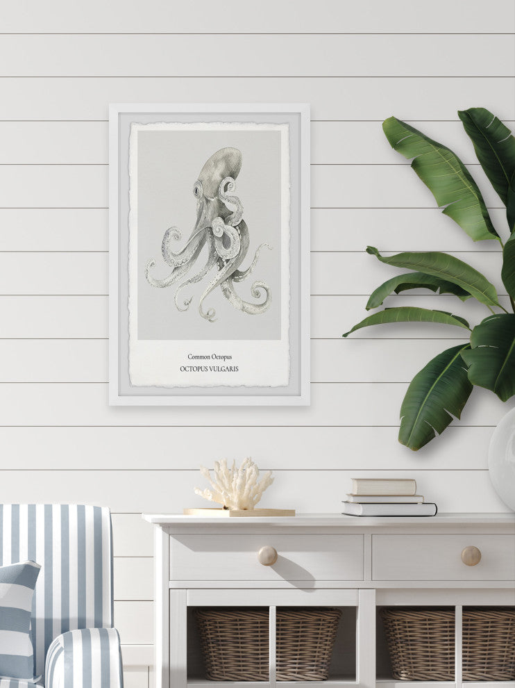 "Octopus Vulgaris" Framed Painting Print, 12x18