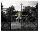 Haunted Gated Window Print on Canvas
