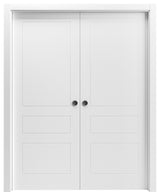 Sliding French Double Pocket Doors 56x96"