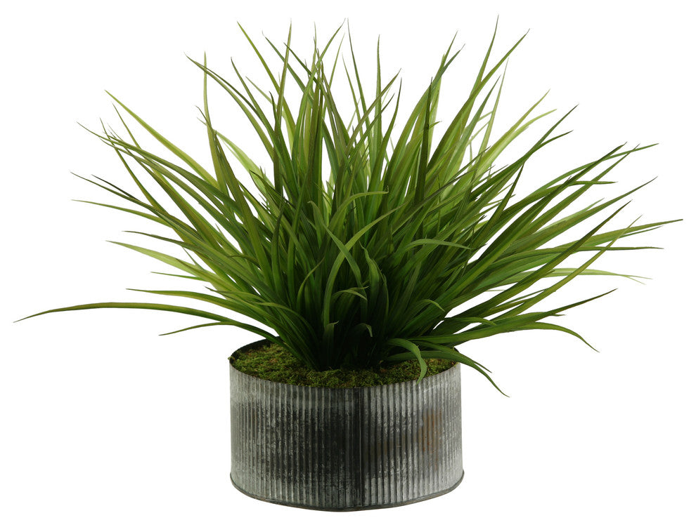 Wild Grass in Round Tin Planter