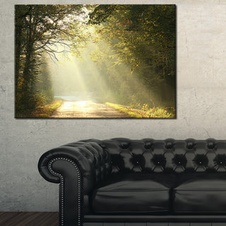 "Bright Sunbeams to Fall Forest" Canvas Print