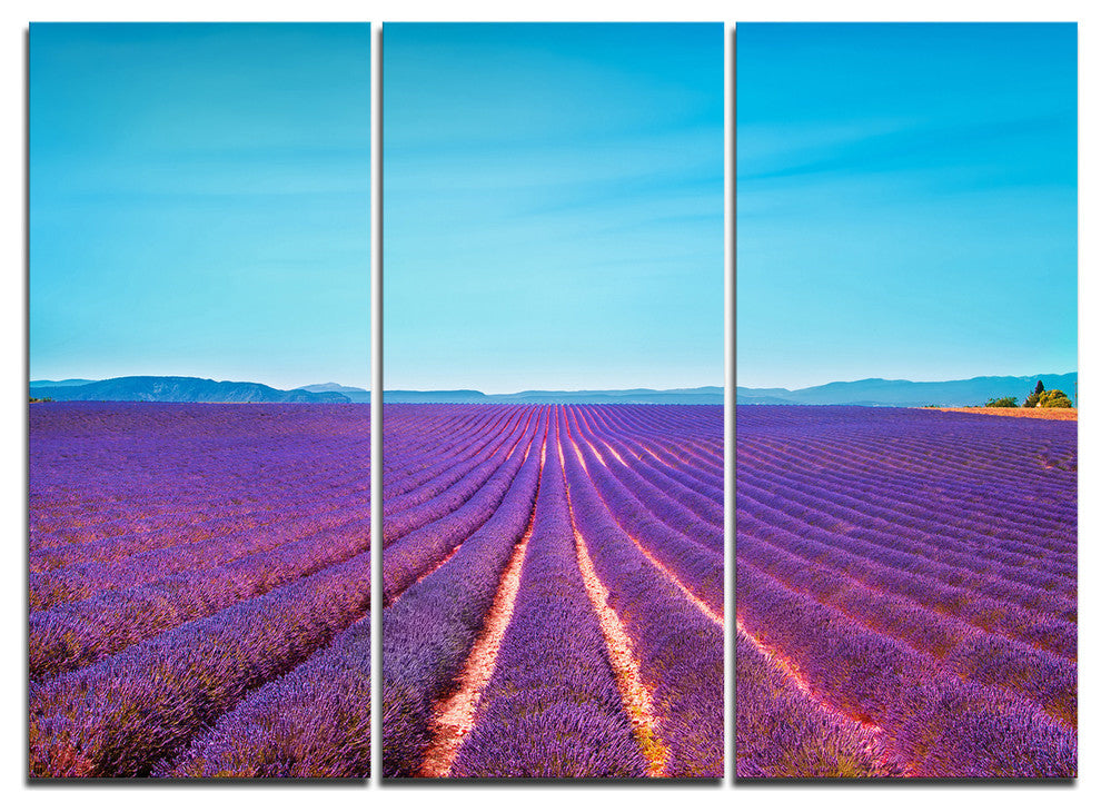 "Lavender Flowers and Clear Sky" Metal Wall Art, 3 Panels, 36"x28"