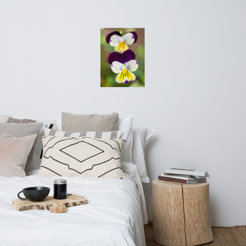 Pretty Little Violets Floral / Botanical Photograph Unframed Wall Art Prints, 18" X 24"
