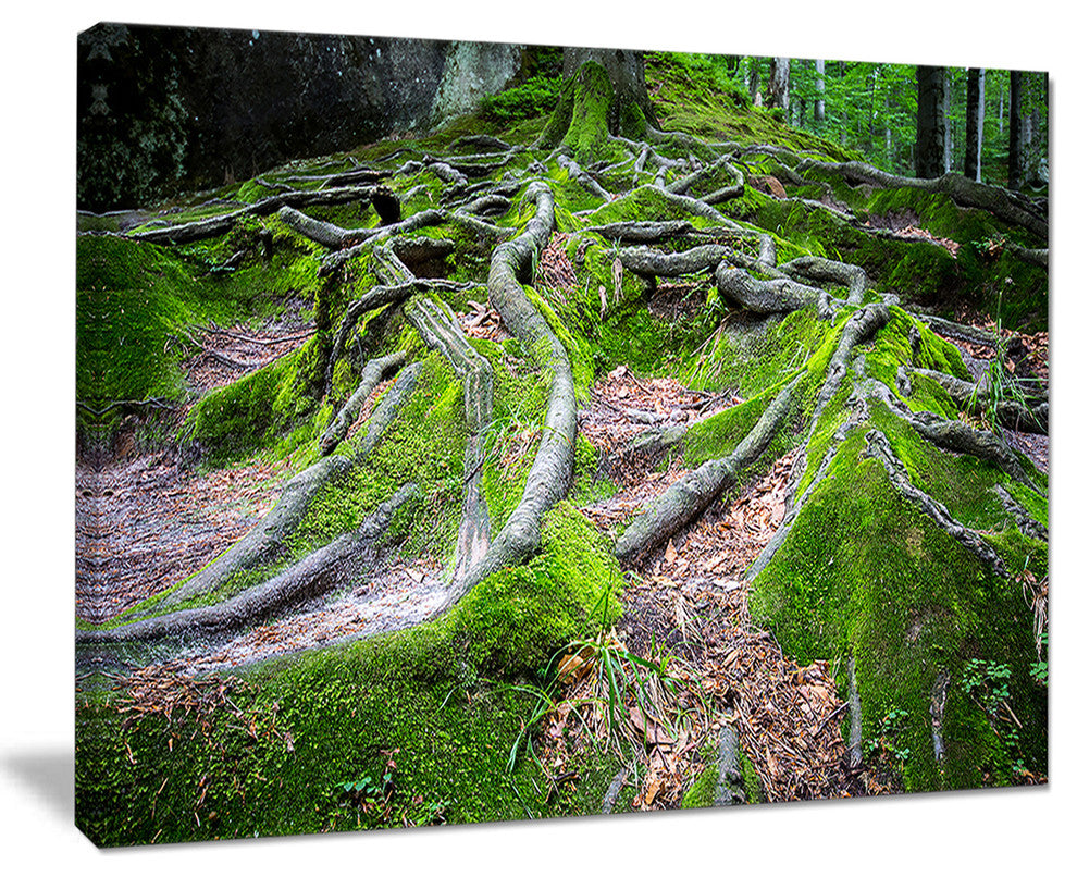 "Green Wild Deep Moss Forest" Landscape Art Print Canvas, 40"x30"