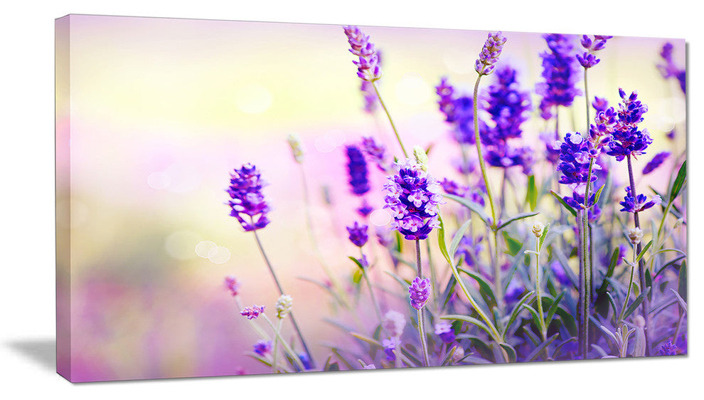 "Purple Lavender Field" Floral Photography Canvas Print, 32"x16"