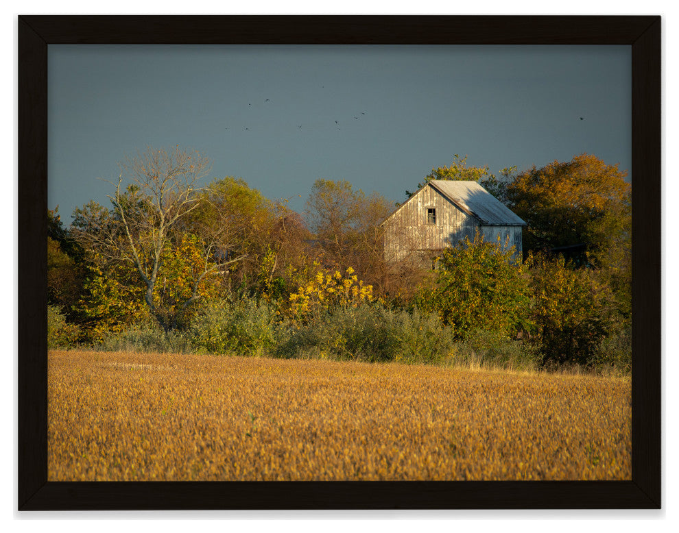 Abandoned Barn In The Trees Framed Photo Paper Wall Art Prints, Black, 12" X 18"