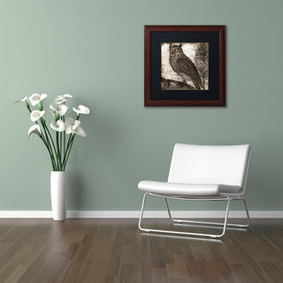 Color Bakery 'Owl 2' Art, Wood Frame, Black Matte, 16"x16"