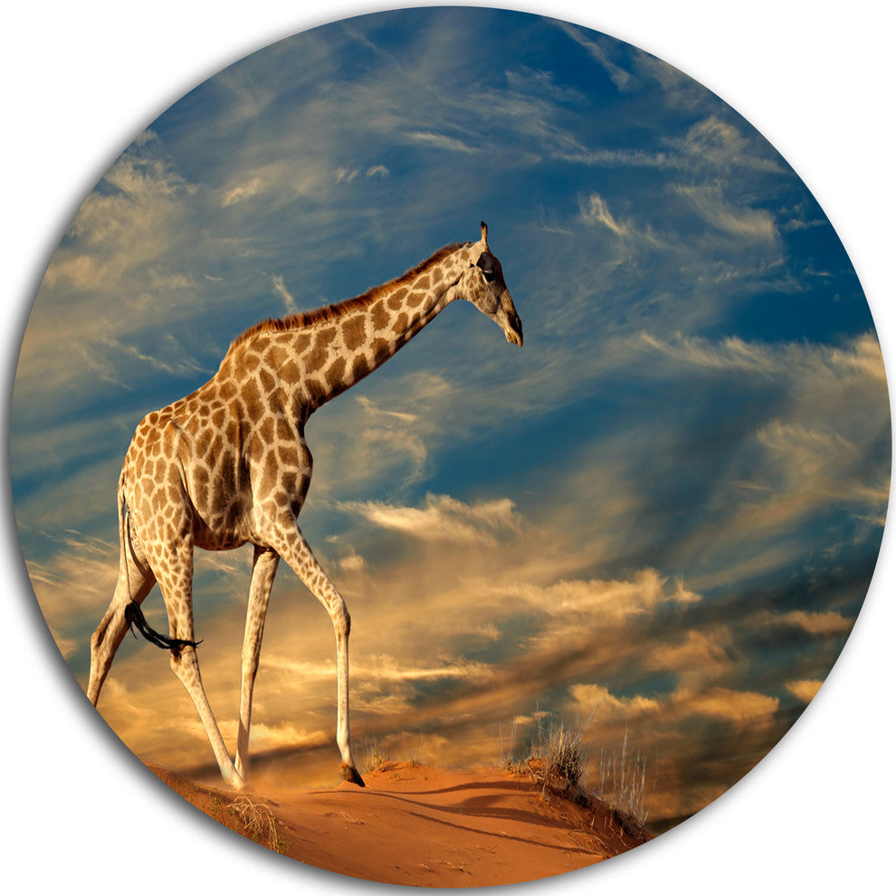 Giraffe On Sand Dune, Animal Photography Large Disc Metal Wall Art, 11"