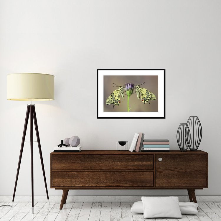 "Symmetry" Framed Digital Print by Jimmy Hoffman, 38"x28"