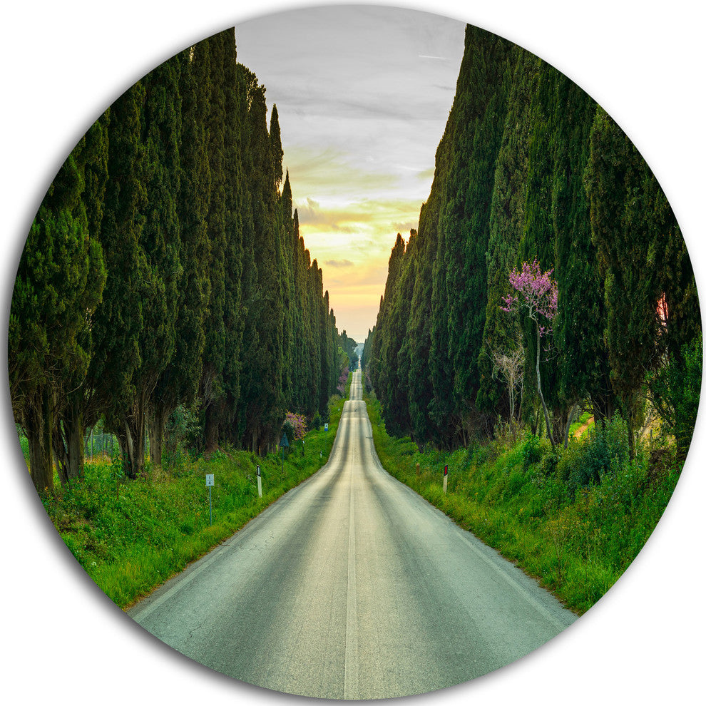 Straight Road Through Cypress Trees, Landscape Round Metal Artwork, 11"