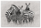 Kirill Trubitsyn 'Zebras' Canvas Art, 32 x 22