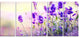 "Purple Lavender Field" Floral Photography Canvas Print, 5 Panels, 60"x28"