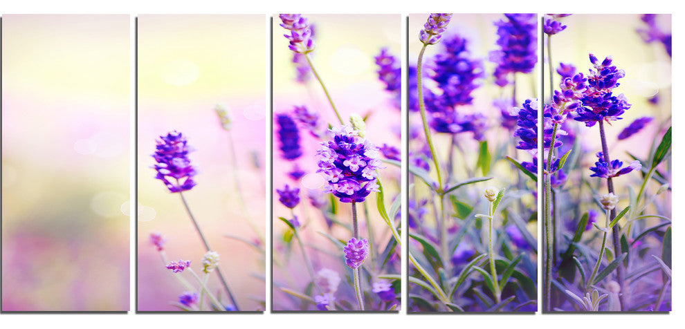 "Purple Lavender Field" Floral Photography Canvas Print, 5 Panels, 60"x28"