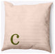 18" x 18" Modern Monogram Indoor/Outdoor Polyester Throw Pillow, Olive