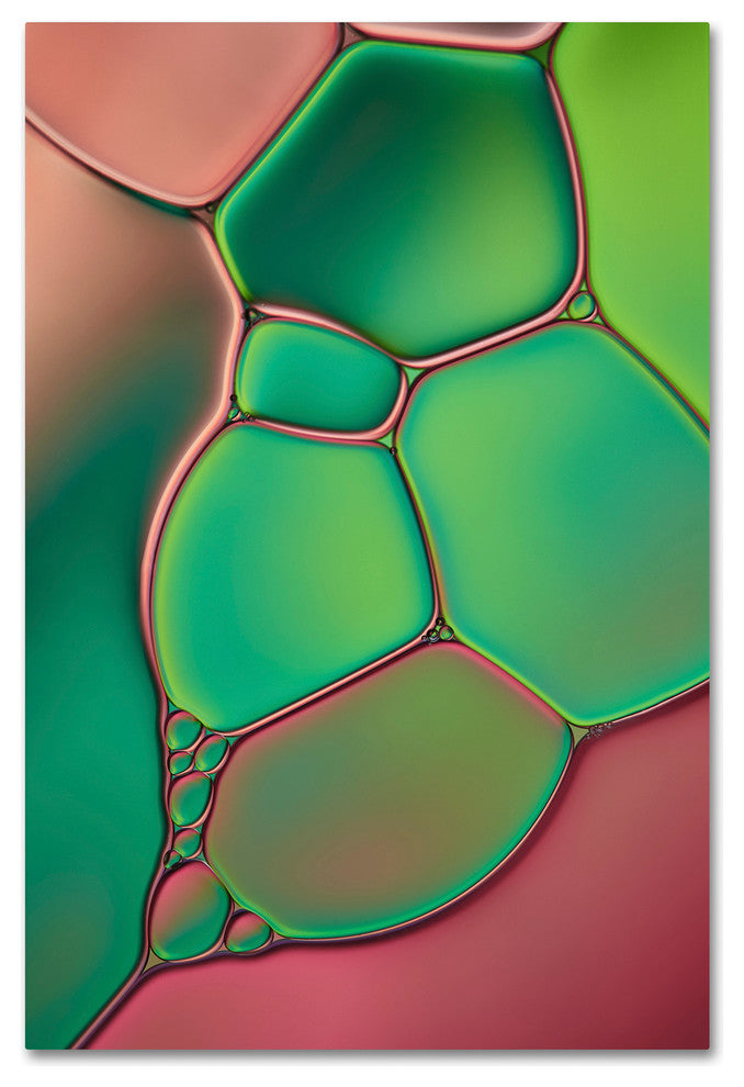 Cora Niele ''Stained Glass V'' Canvas Art
