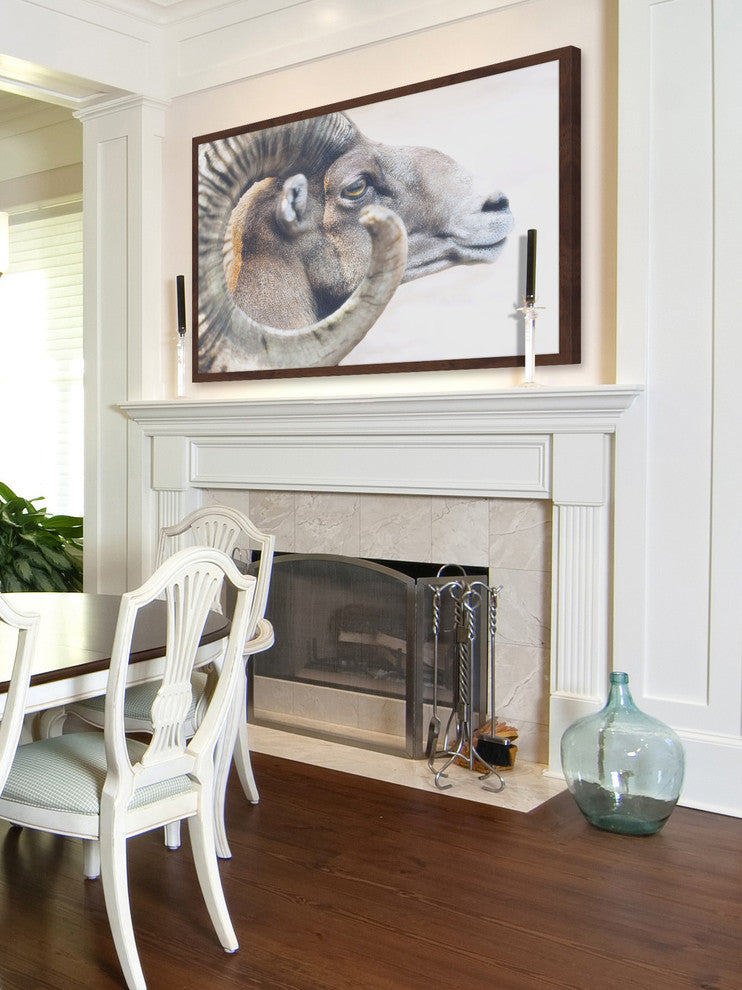 Marmont Hill, "Ram Profile 4" Framed Painting Print, 30x20