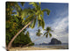 "Palm Trees, Pinagbuyutan Island, Palawan, Philippines" Artwork, 40" x 30"