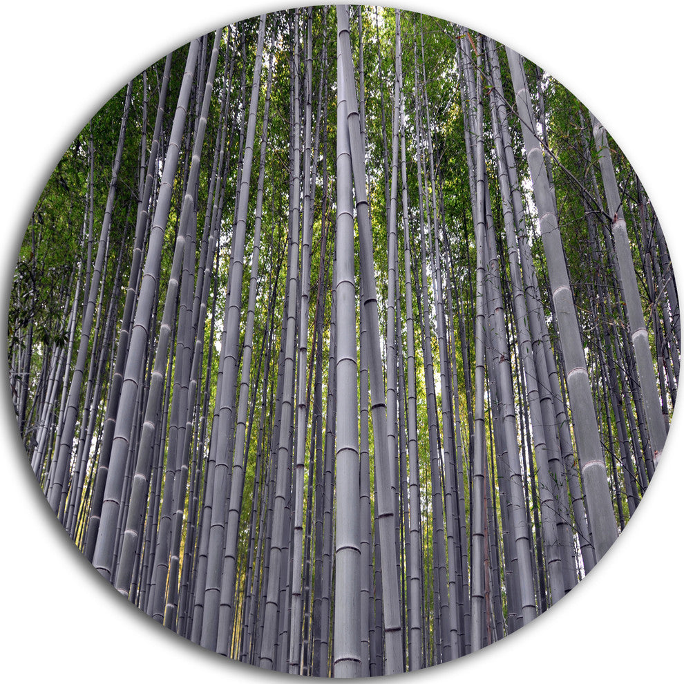 Thick Bamboo Trunks In Japan, Forest Disc Metal Wall Art, 11"