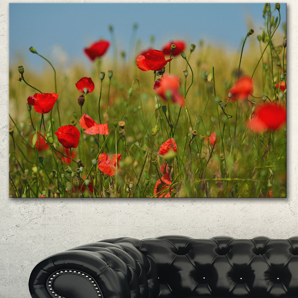 Wild Poppy Flowers in Green Garden, Floral Canvas Art print, 40"x30"