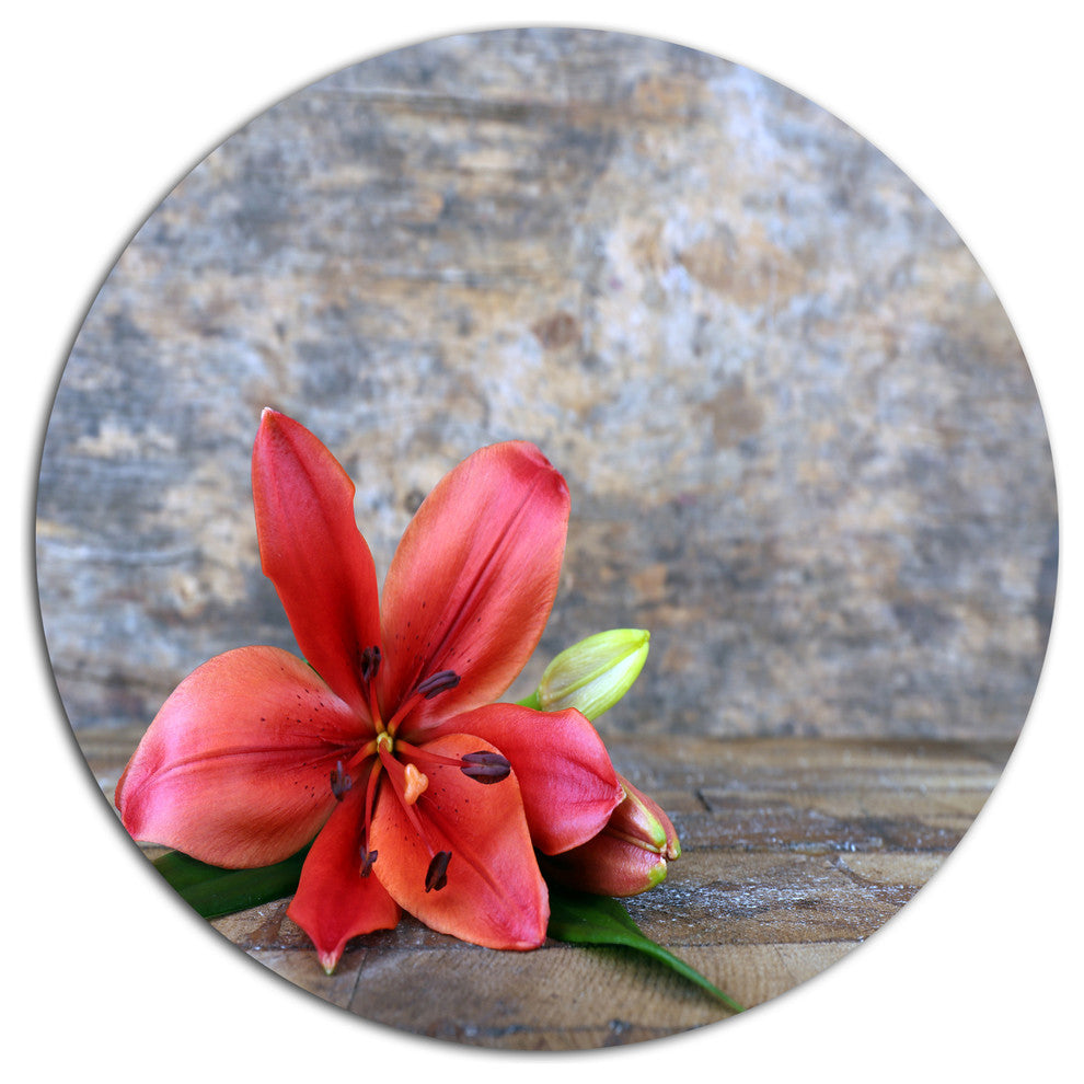 Beautiful Fallen Red Lily Flower, Floral Round Metal Wall Art, 23"