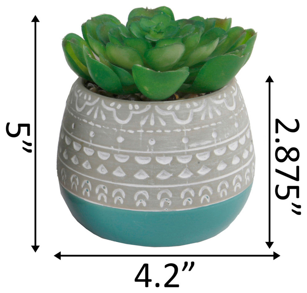 Succulent In 2 Tone Mayan Ceramic Pot,Teal