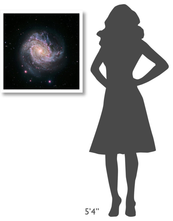 "M83 - Spiral Galaxy (Hubble-Magellan Composite)" Paper Print by NASA, 26"x26"