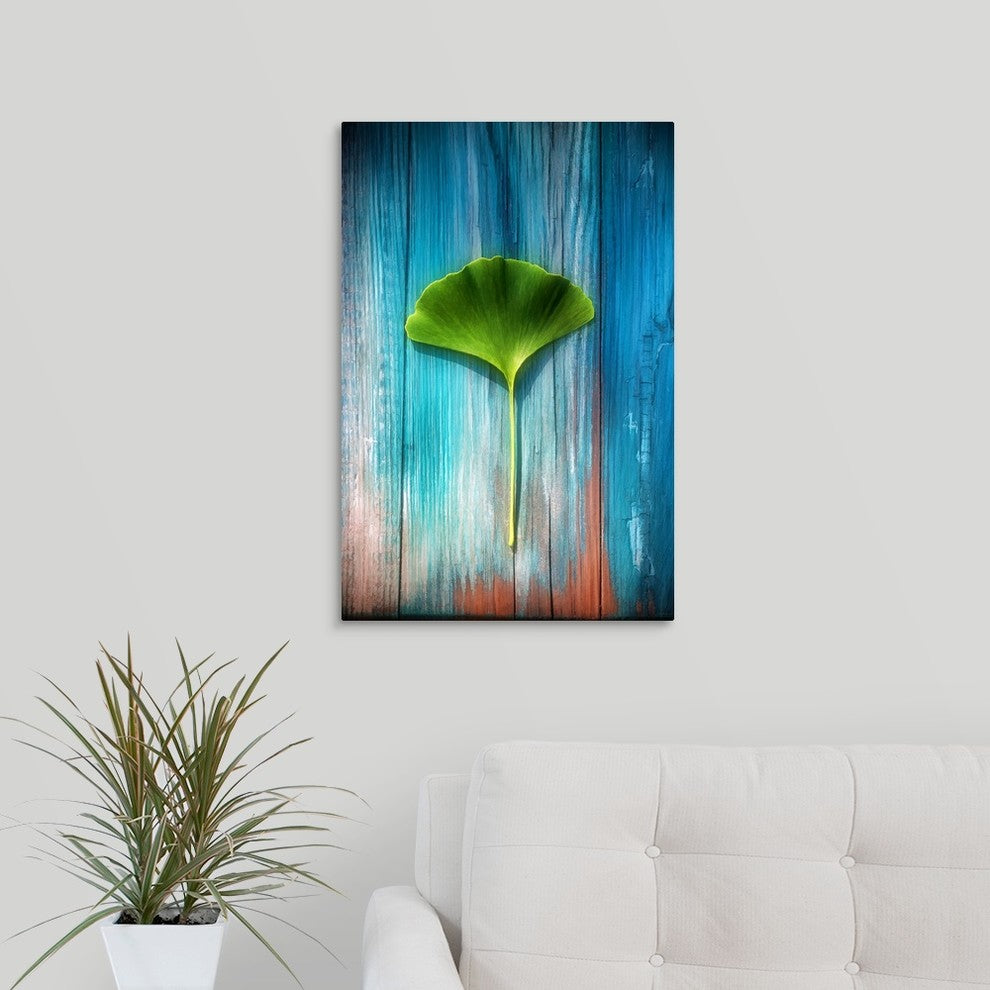 "A Ginkgo leaf" Wrapped Canvas Art Print, 16"x24"x1.5"