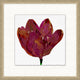 Floral Studies 6, Giclee Reproduction Artwork
