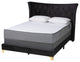 Fae Velvet Queen Size Panel Bed, Black/Gold