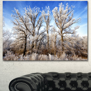 Beautiful Winter Evening View, Large Landscape Canvas Art, 40"x30"