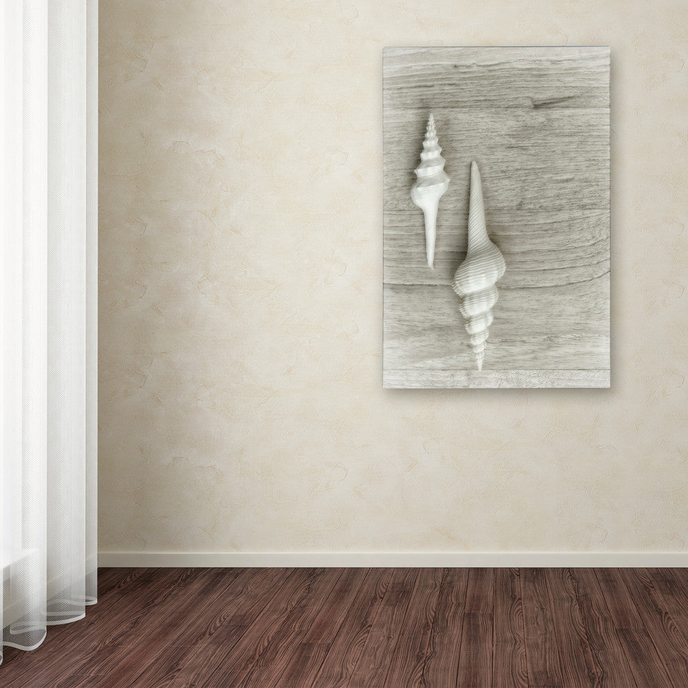 Cora Niele ''Two White Shells'' Canvas Art