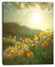 Yellow Flowers in Meadow At Morning, Floral Canvas Art Print, 30"x40"