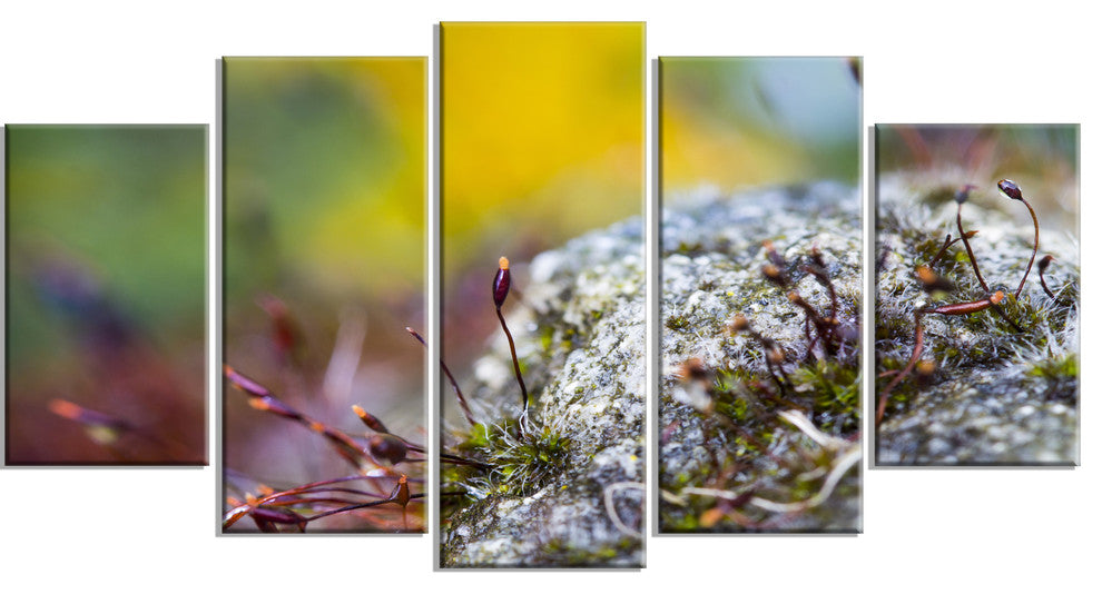 "Abstract Composition of Moss Flowers" Landscape Wall Art, 5 Panels, 60"x32"