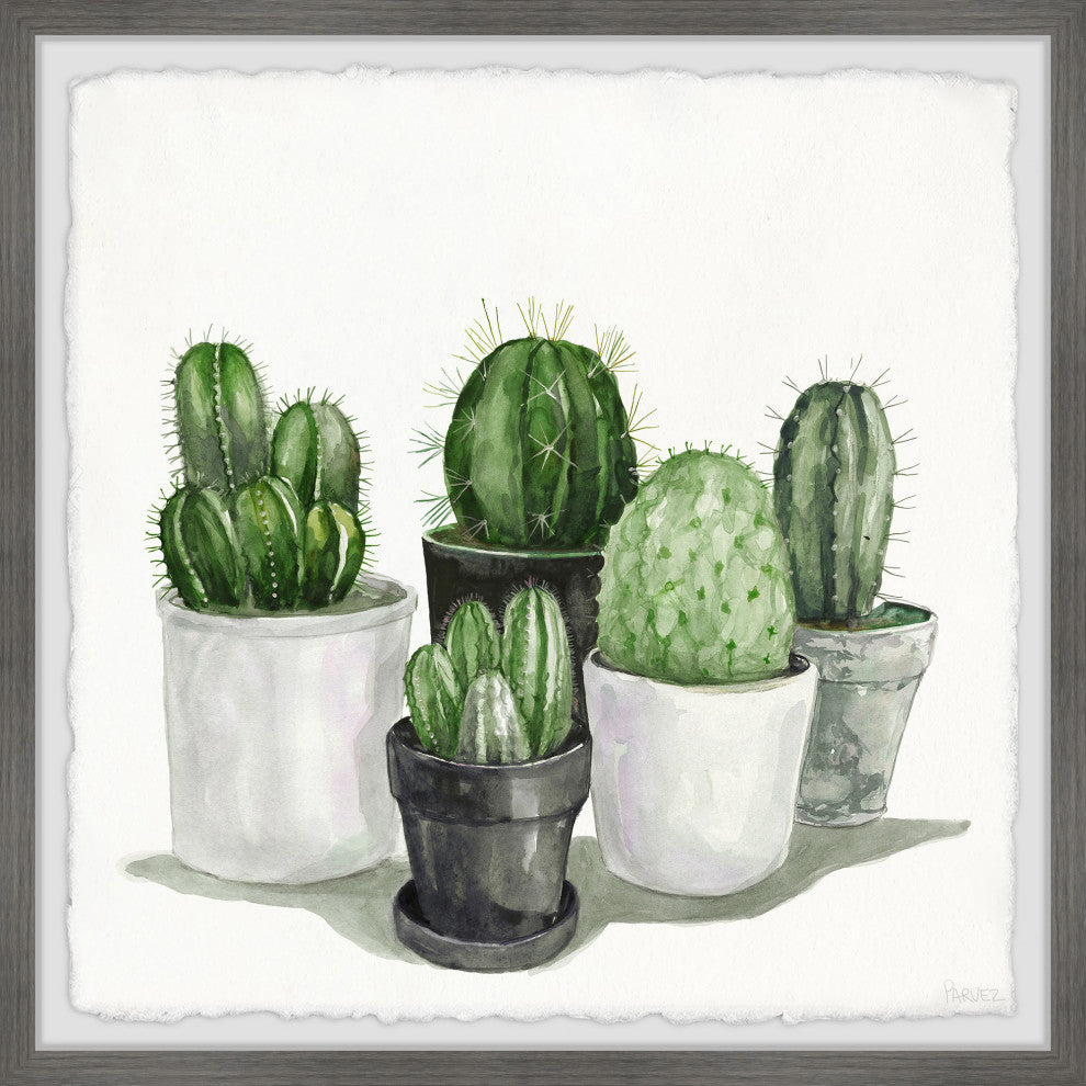 "Pointy Spikes Succulents" Framed Painting Print