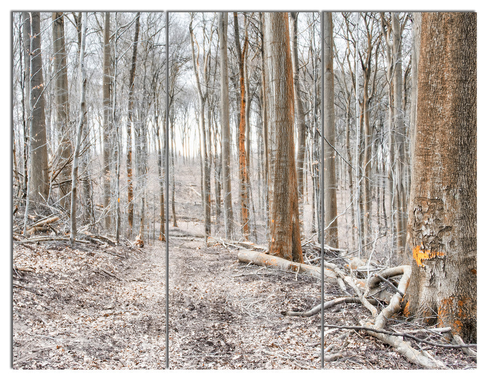 Dense Forest in the Winter Photography, Forest Canvas Art, 36x28, 3 Panels