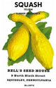 Squash: Yellow Summer Crookneck- Gallery Wrapped Canvas Art 28" x 42"