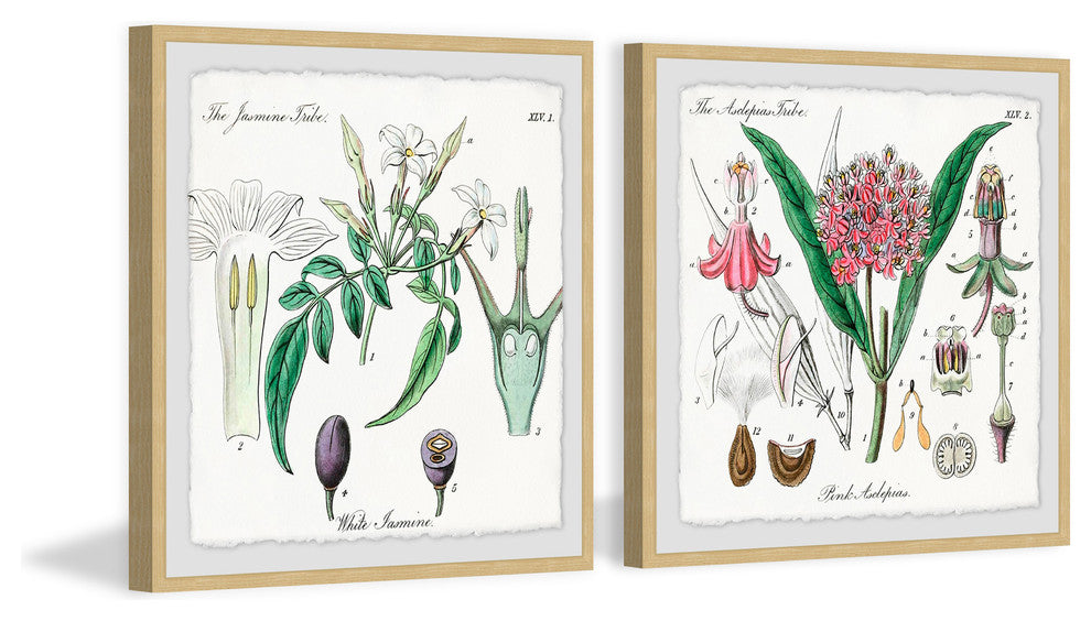 "Crinum in My Garden Diptych" Framed Prints, 12"x12", 2-Piece Set