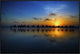 "Sunset Camel Ride" Framed Canvas Giclee by Louise Wolbers, 37x25"