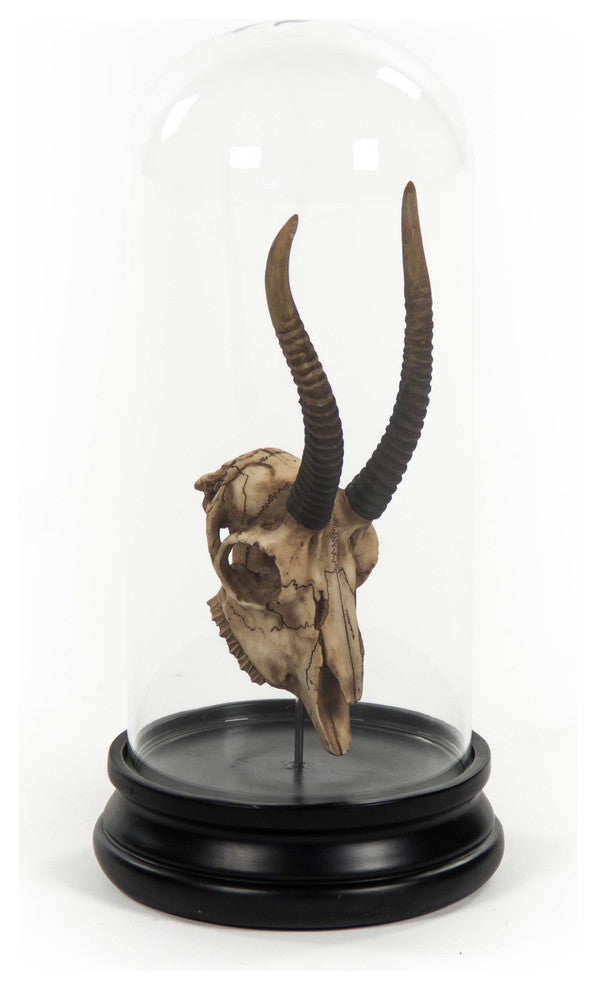 Goat Skull Statue With Cover