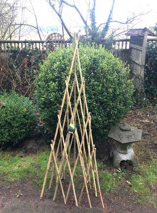Natural Bamboo Teepee, 60"