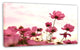 Cosmos Flowers Meadow At Sunset, Floral Canvas Art Print, 32"x16"