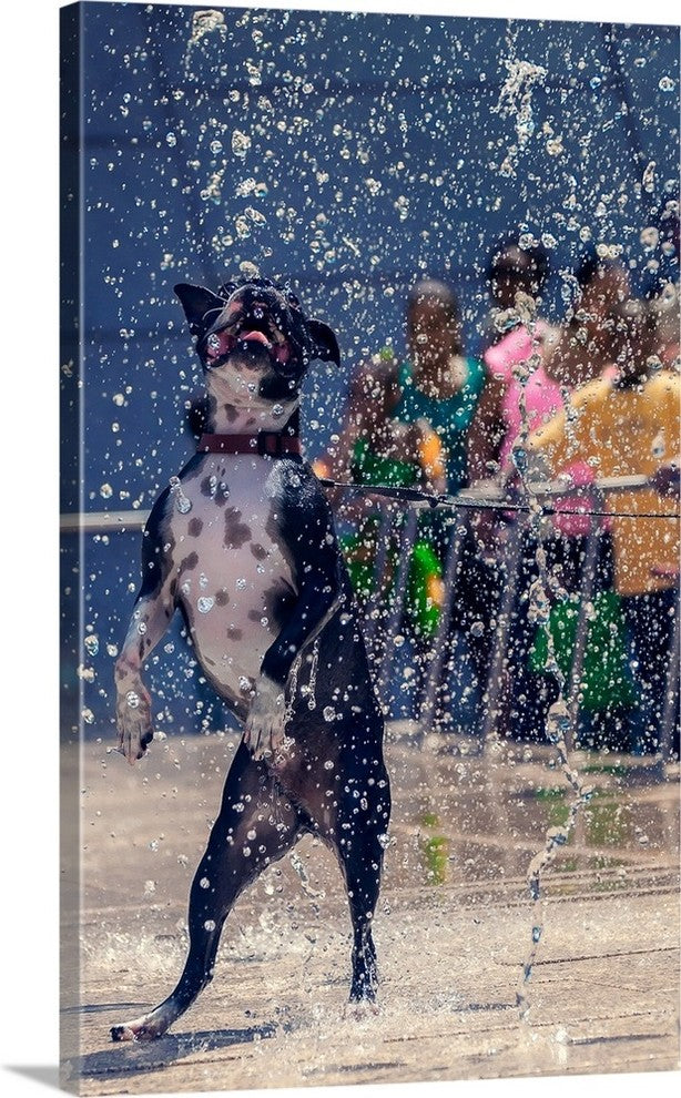 "Riley" Wrapped Canvas Art Print, 22"x36"x1.5"