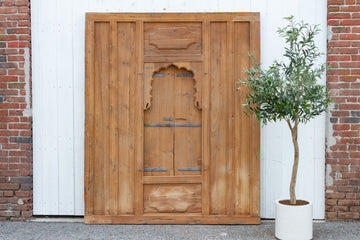 19th Century Indian Door Facade