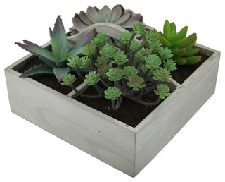 Artificial Succulent Plant Garden in Wooden Box