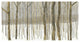 "Woods in Winter Gold" Digital Paper Print by Kathrine Lovell, 74"x38"