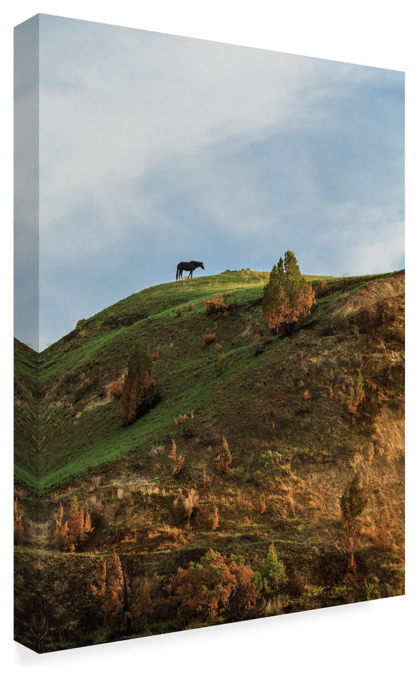 Galloimages Online 'Horse On Hill' Canvas Art, 19"x14"