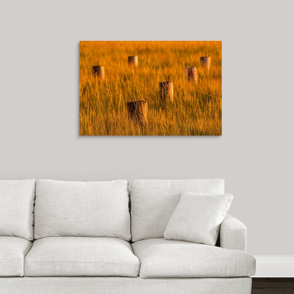 "Golden Marshland" Wrapped Canvas Art Print, 36"x24"x1.5"